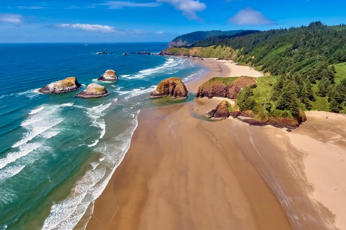 A tranquil coastal view featuring sandy beach, striking rock formations, gentle waves, and a lush forest backdrop. The shoreline invites exploration, beachcombing, and relaxing moments with a pet, while the natural setting hints at outdoor adventures just steps away from the property.